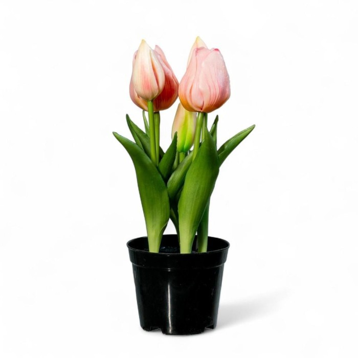 PIANTINA 5 TULIPANI REAL TOUCH H25 ROSA CHIARO